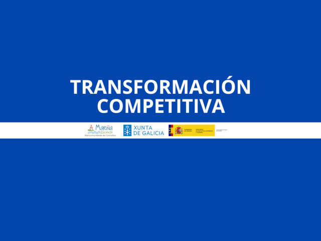 Eixo 3: Transformación Competitiva