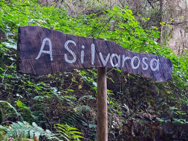 15.- Cuando la biodiversidad se adueña del patrimonio industrial. Viveiro