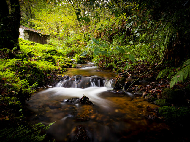 Ruta da auga en Riotorto