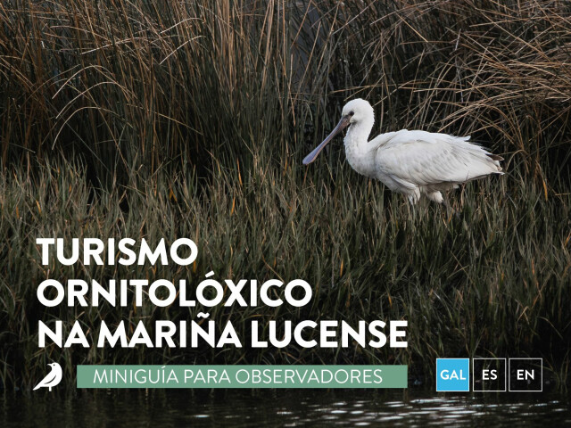 Folleto Turismo Ornitolóxico na Mariña Lucense [GALEGO]