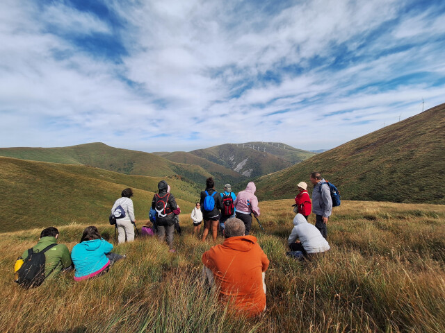 Planes con corazón 2025