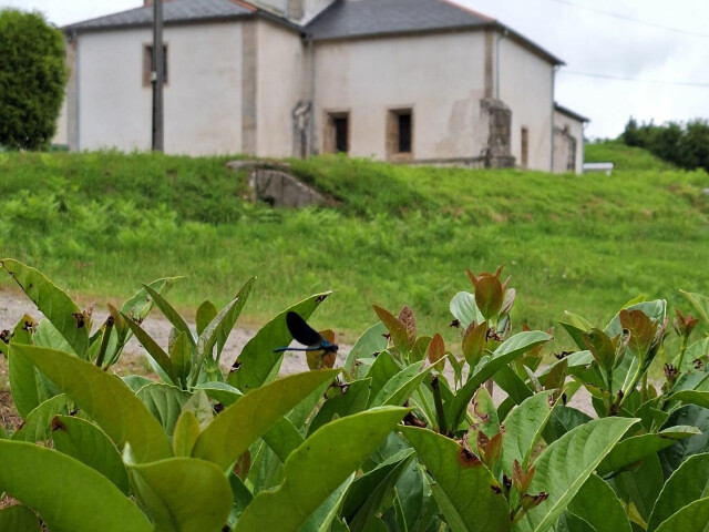 11. San Antonio de A Rigueira y la ruta de Os Muiños. Xove
