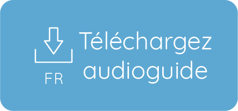 Téléchargez Audioguide Français